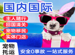 乌兰浩特空运地址国际宠物托运 【国